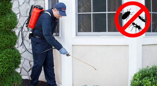 Beypazarı Gümüşkurt İlaçlama böcek ilaçlama ve haşere kontrolü — ilaclama-tr.com
